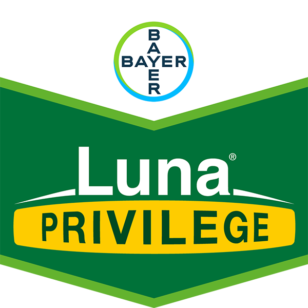Brand tag Luna Privilege from Bayer
